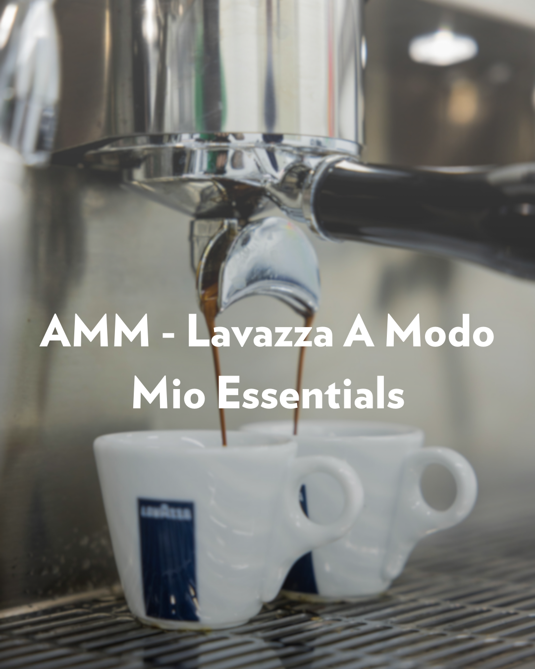 Lavazza A Modo Mio Essentials Course